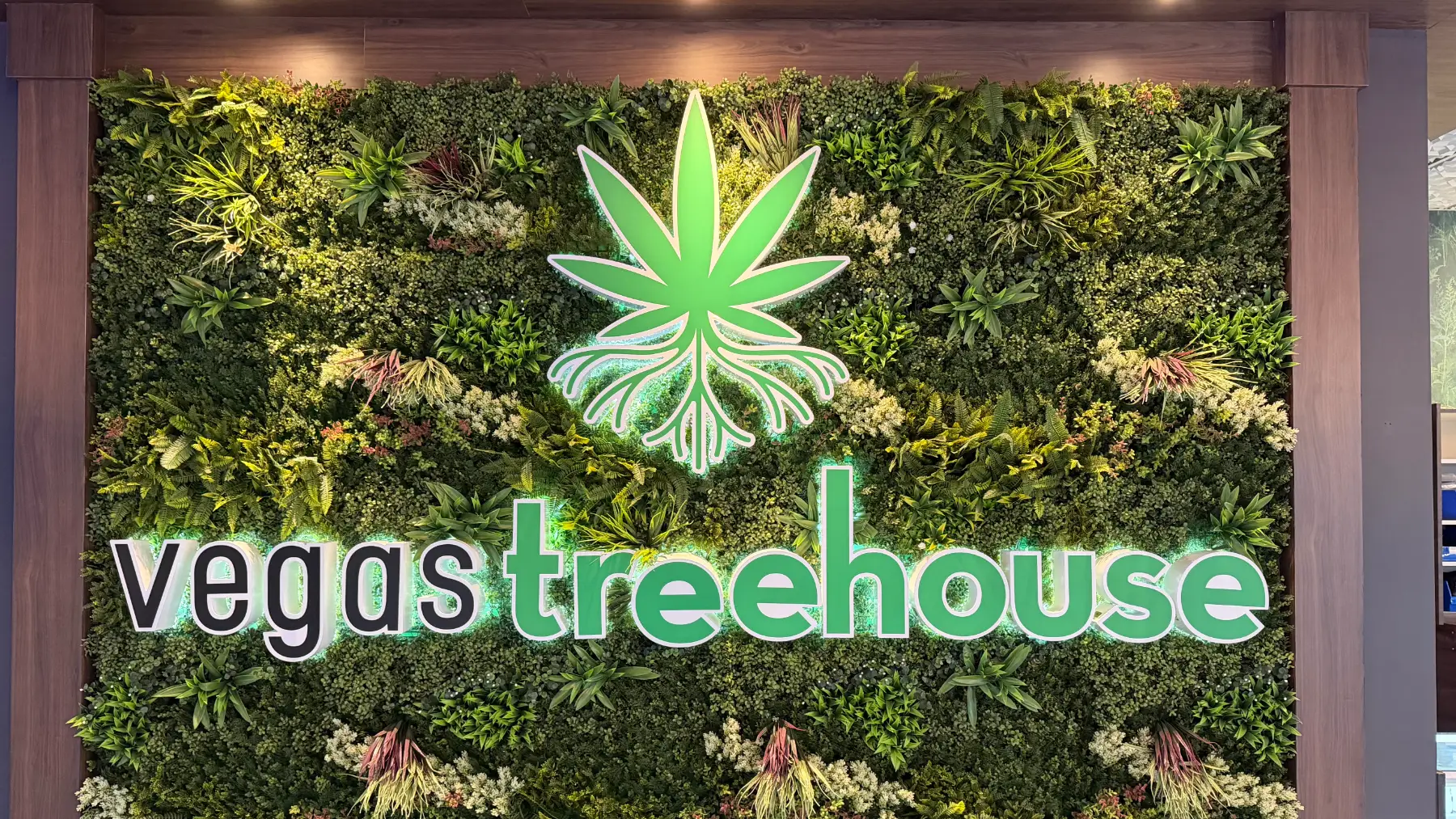 The illuminated Vegas Treehouse sign mounted on a living wall of moss and ferns inside the store.